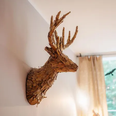 Goldener Hirsch Апартаменты