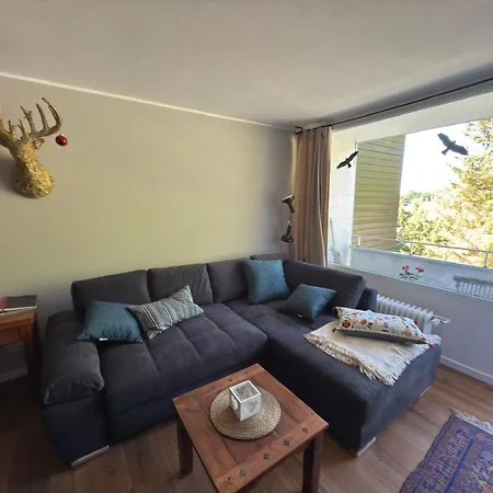 Goldener Hirsch Апартаменты Браунлаге