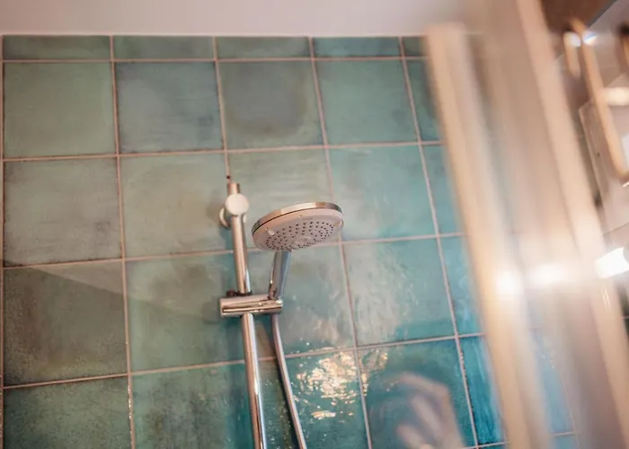 Goldener Hirsch * 布劳恩拉格