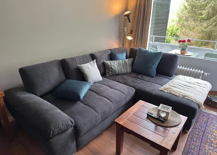 Appartement Goldener Hirsch Braunlage